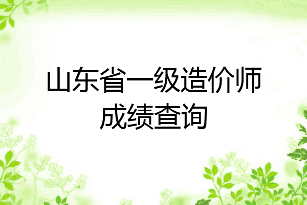 山东省一级造价师成绩查询