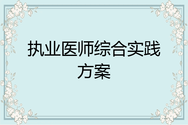 执业医师综合实践方案