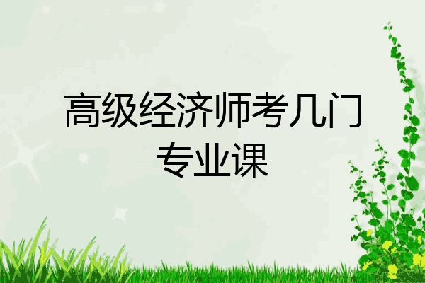 高级经济师考几门专业课