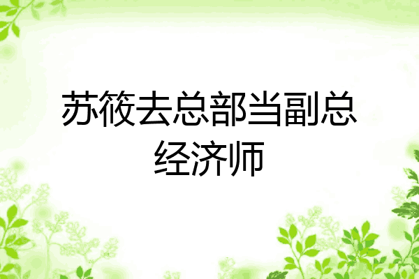 苏筱去总部当副总经济师