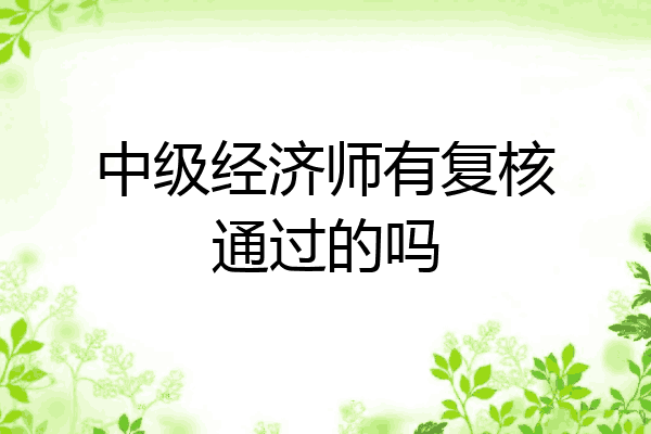 中级经济师有复核通过的吗