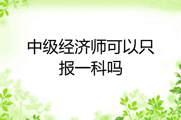 中级经济师可以只报一科吗