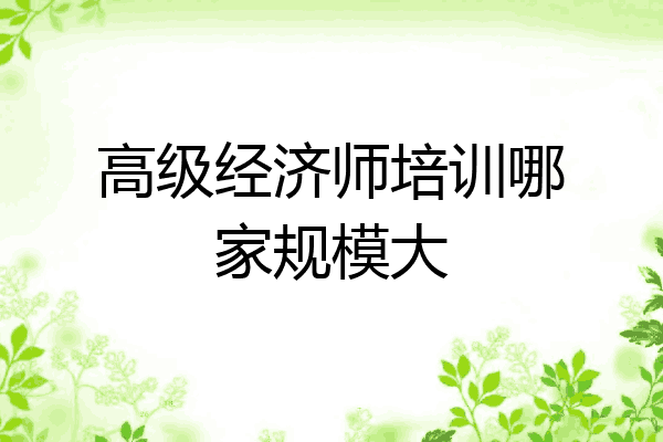 高级经济师培训哪家规模大