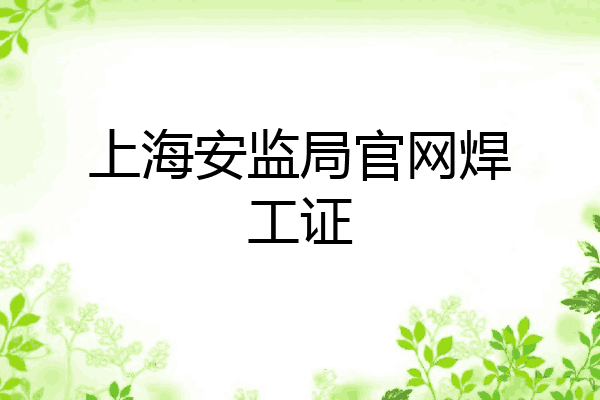 上海安监局官网焊工证