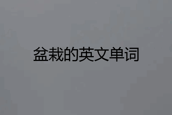 盆栽的英文单词