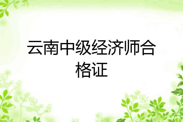 云南中级经济师合格证