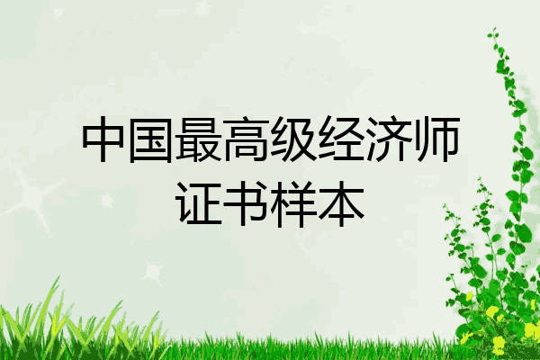 中国最高级经济师证书样本