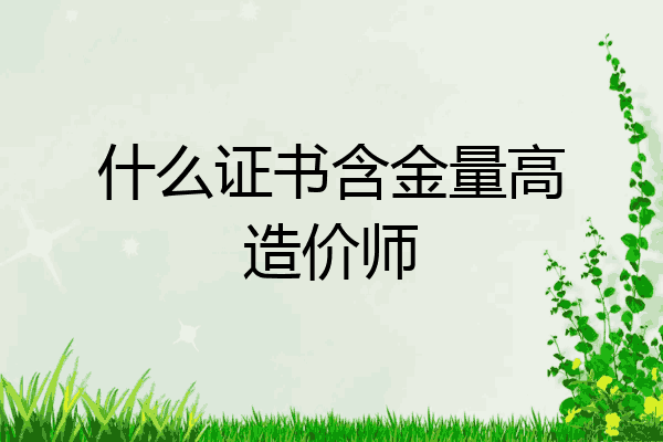 什么证书含金量高造价师