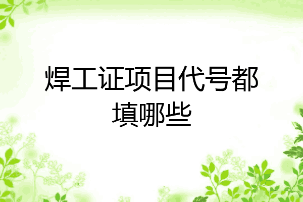 焊工证项目代号都填哪些