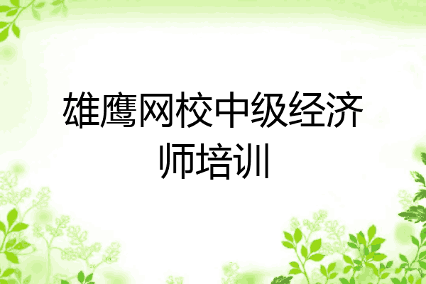 雄鹰网校中级经济师培训