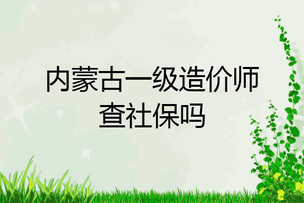 内蒙古一级造价师查社保吗