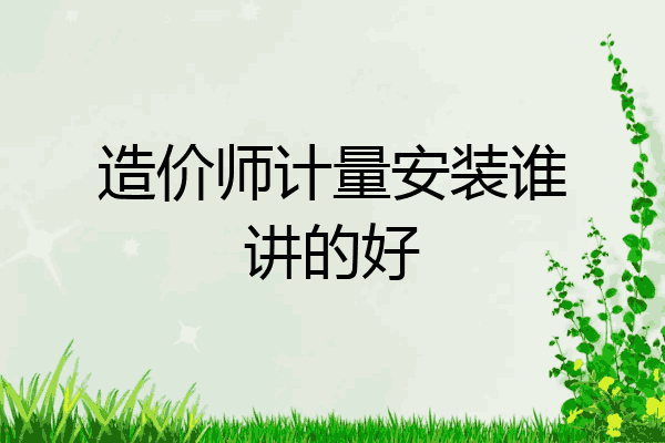 造价师计量安装谁讲的好