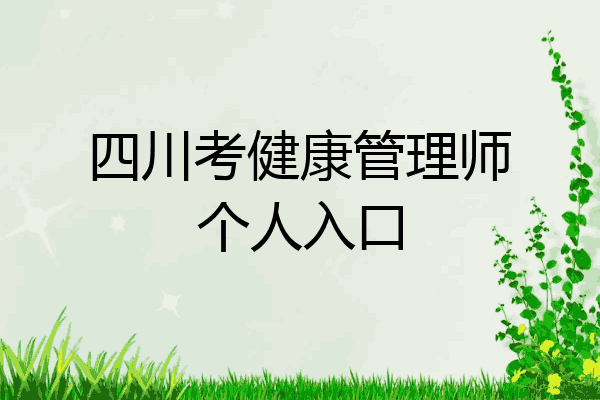 四川考健康管理师个人入口
