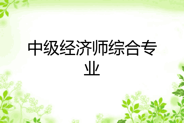 中级经济师综合专业
