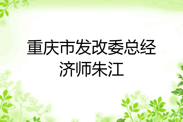 重庆市发改委总经济师朱江