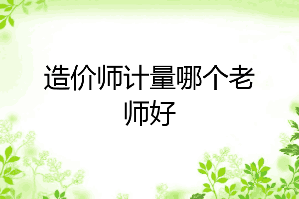 造价师计量哪个老师好