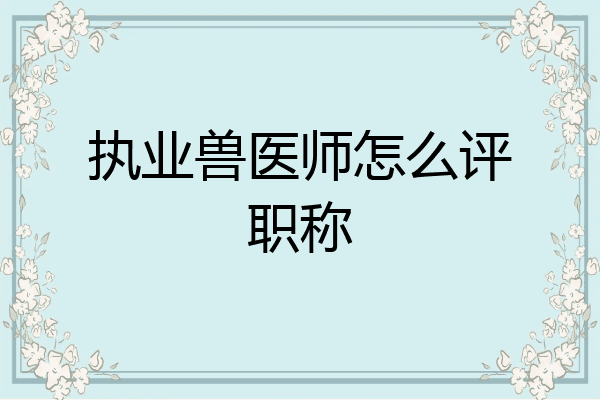 执业兽医师怎么评职称