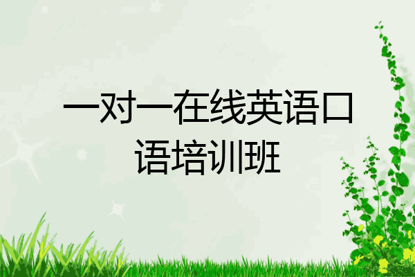 一对一在线英语口语培训班