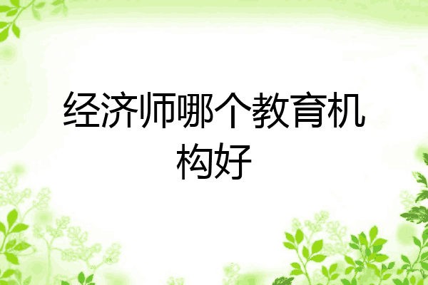 经济师哪个教育机构好