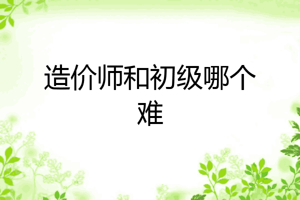 造价师和初级哪个难