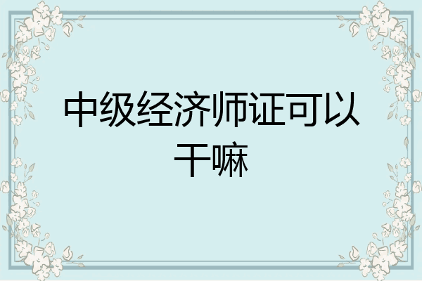 中级经济师证可以干嘛