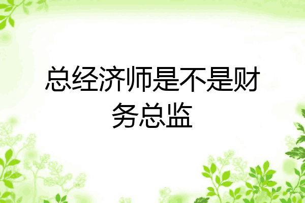 总经济师是不是财务总监