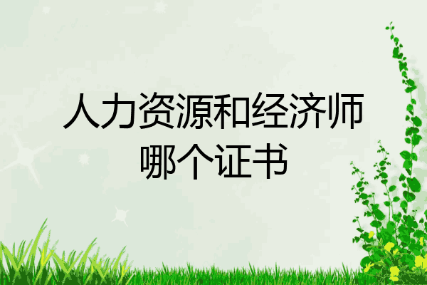 人力资源和经济师哪个证书