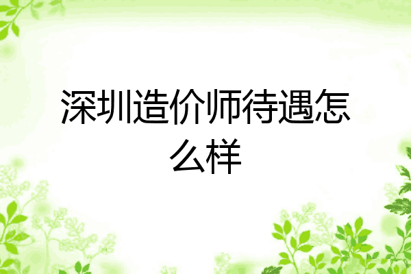 深圳造价师待遇怎么样