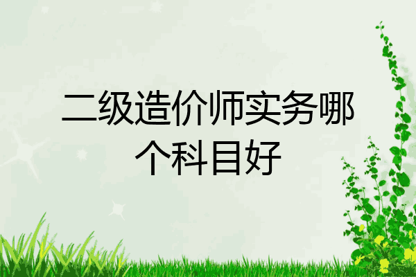 二级造价师实务哪个科目好