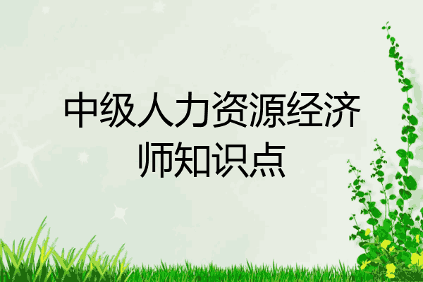 中级人力资源经济师知识点