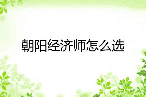 朝阳经济师怎么选