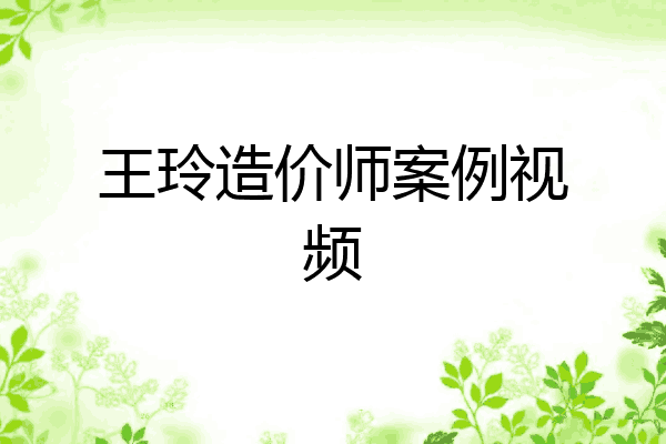 王玲造价师案例视频