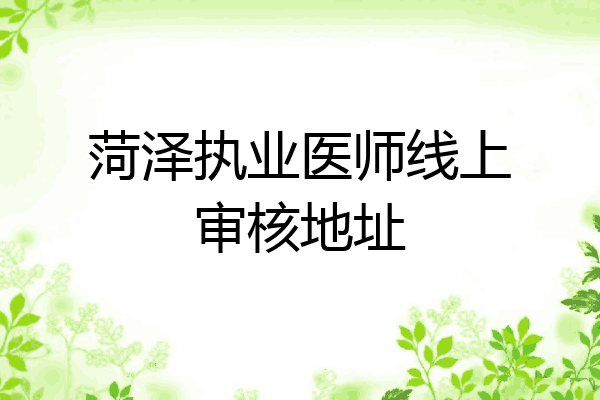 菏泽执业医师线上审核地址