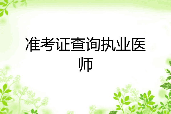 准考证查询执业医师