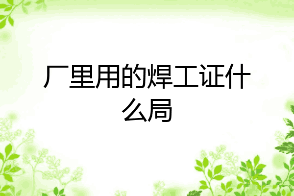 厂里用的焊工证什么局