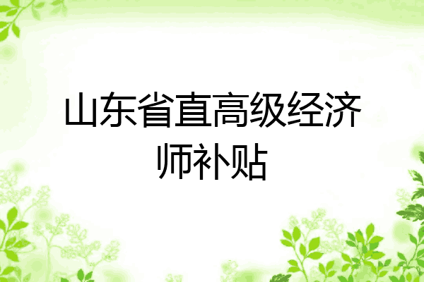 山东省直高级经济师补贴
