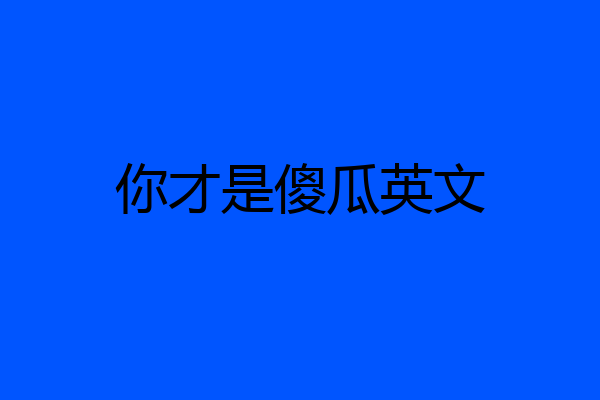 你才是傻瓜英文