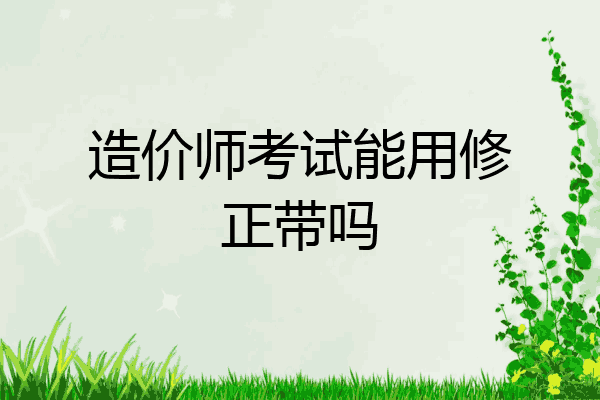 造价师考试能用修正带吗