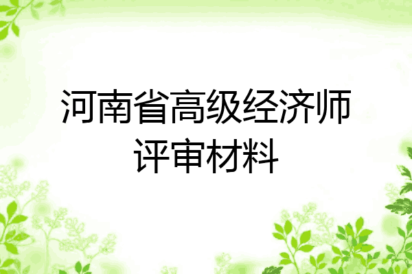 河南省高级经济师评审材料