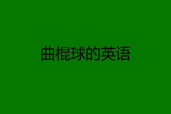 曲棍球的英语