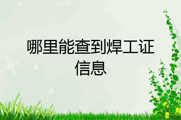 哪里能查到焊工证信息