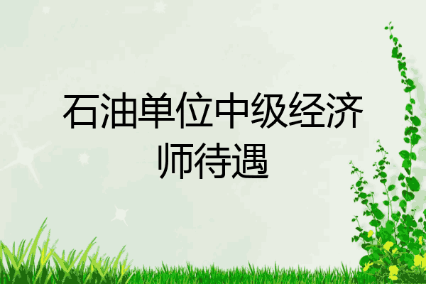石油单位中级经济师待遇