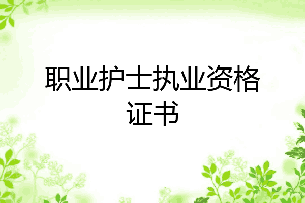 职业护士执业资格证书