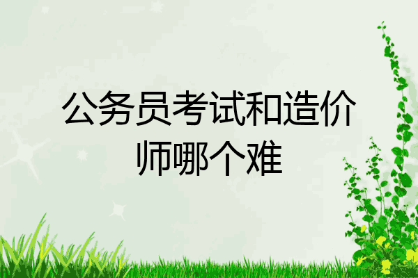 公务员考试和造价师哪个难