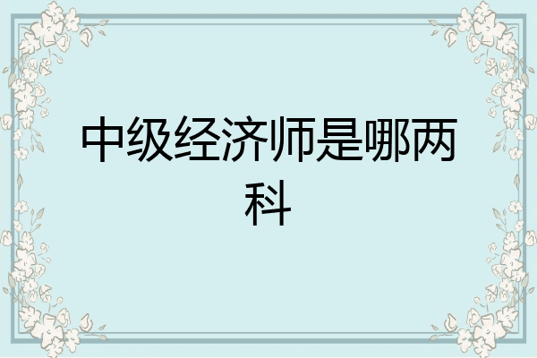 中级经济师是哪两科