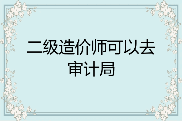 二级造价师可以去审计局