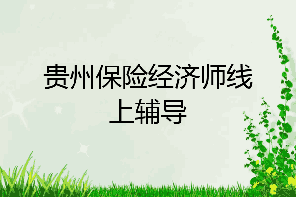 贵州保险经济师线上辅导