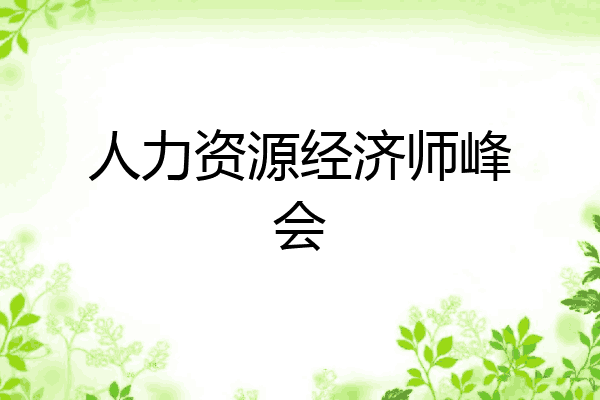 人力资源经济师峰会
