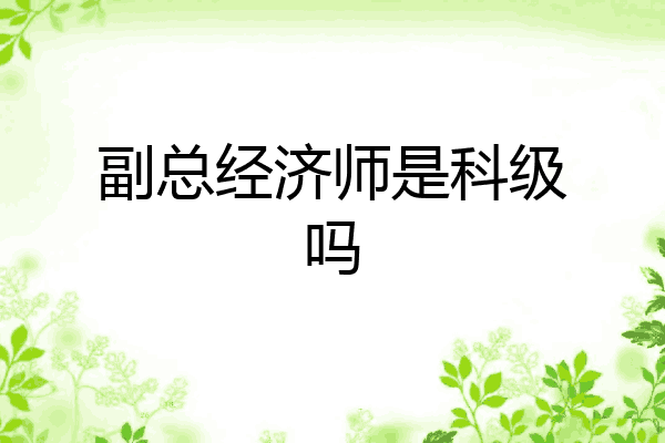 副总经济师是科级吗