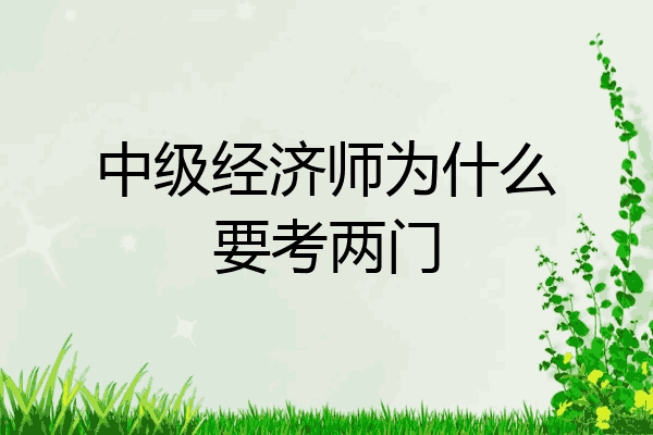 中级经济师为什么要考两门
